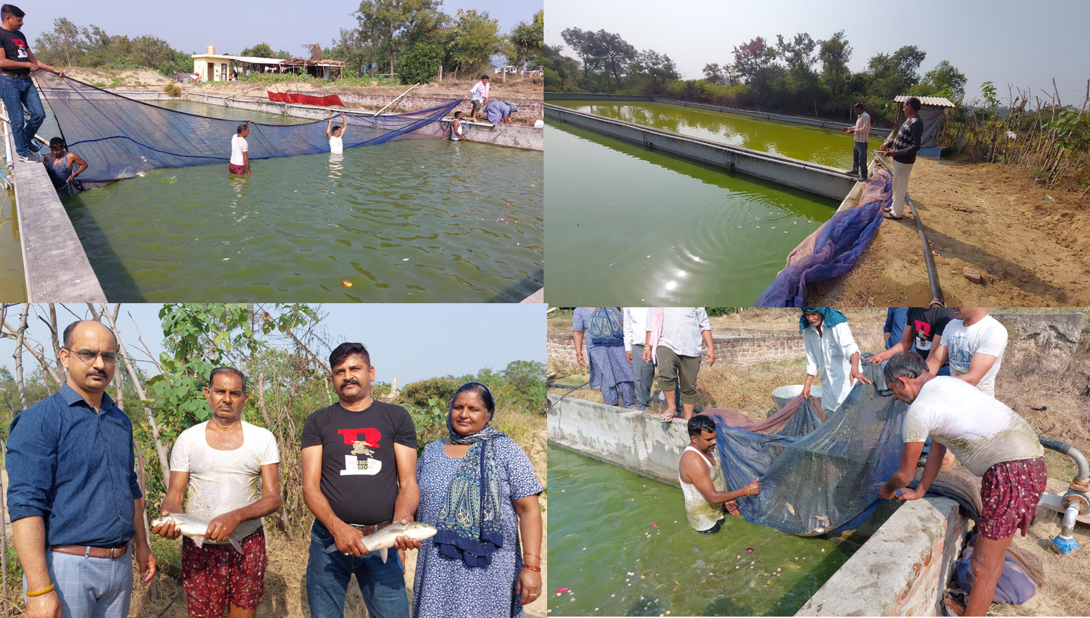 Immense possibilities of fish farming in district Una